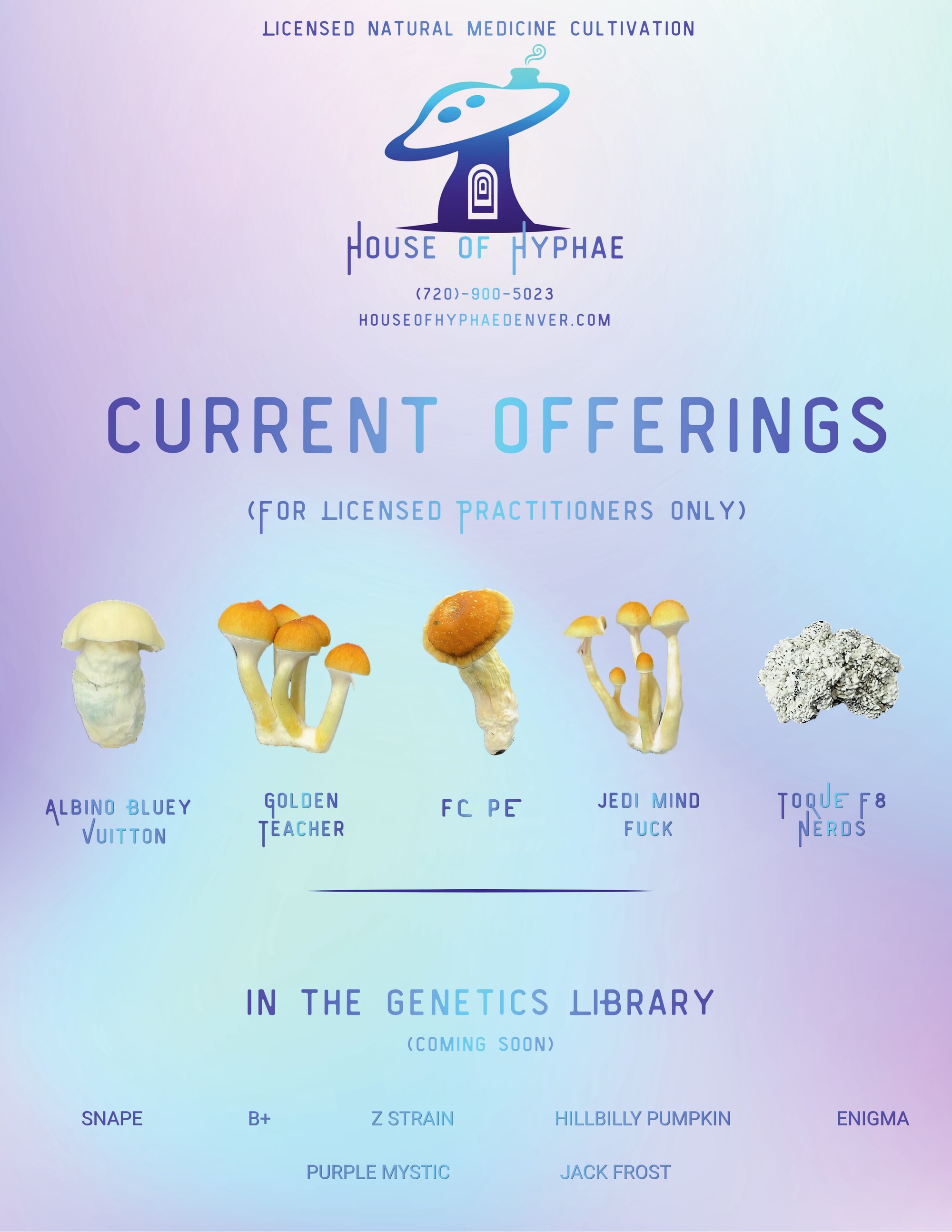 House of Hyphae current offerings and contact info